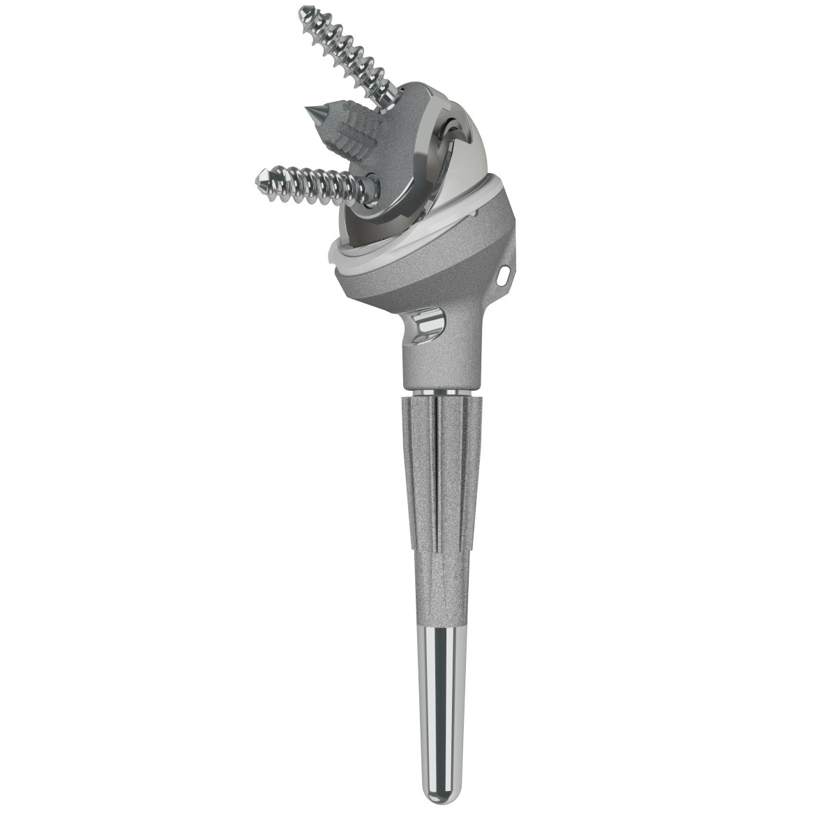 Image for 