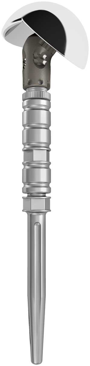 Image for 