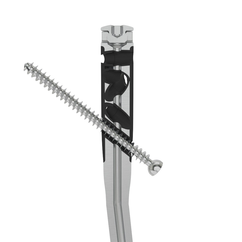 Image for 