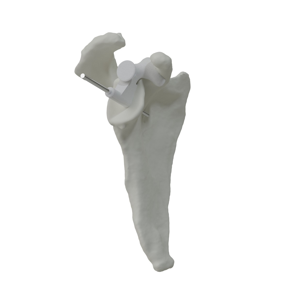Image for 