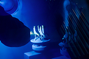 Gallery thumbnail image